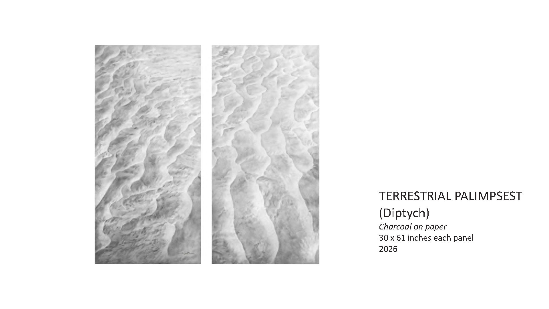 Terrestrial Palimpsest Diptych by Sajjad Nawaz